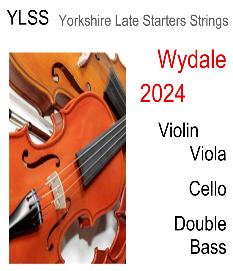 Yorkshire Late Starters Strings Wydale 2024